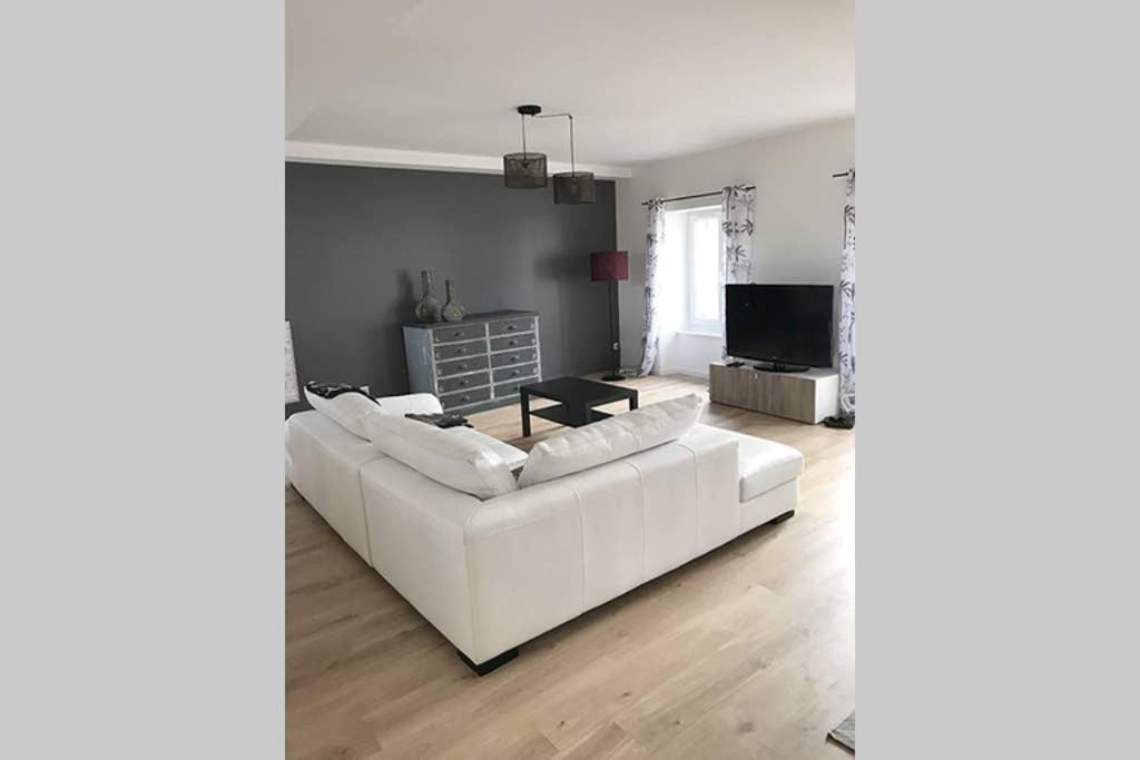 Annonay Centre, Grand Appartement Cosy, 3 Chambres ภายนอก รูปภาพ