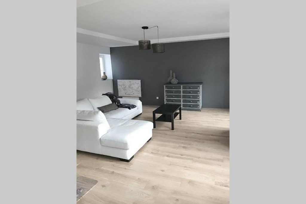 Annonay Centre, Grand Appartement Cosy, 3 Chambres ภายนอก รูปภาพ